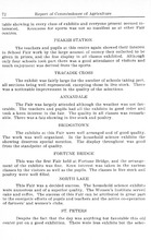 33667_OBJ-Thumbnail Image.jpg