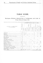 33839_OBJ-Thumbnail Image.jpg