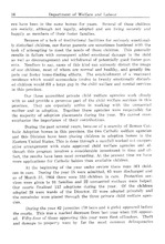 33877_OBJ-Thumbnail Image.jpg