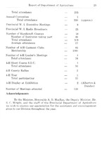 33904_OBJ-Thumbnail Image.jpg