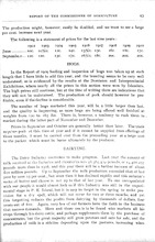 33978_OBJ-Thumbnail Image.jpg