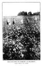 34004_OBJ-Thumbnail Image.jpg