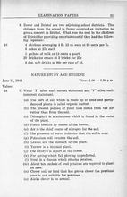 34142_OBJ-Thumbnail Image.jpg