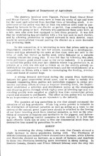 34171_OBJ-Thumbnail Image.jpg