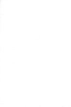 34362_OBJ-Thumbnail Image.jpg