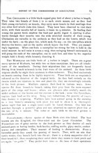 34366_OBJ-Thumbnail Image.jpg