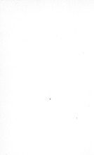 34394_OBJ-Thumbnail Image.jpg