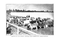 34457_OBJ-Thumbnail Image.jpg