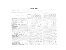 3445_OBJ-Thumbnail Image.jpg