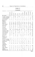 34515_OBJ-Thumbnail Image.jpg