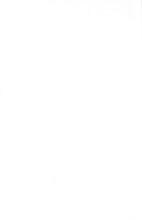 34522_OBJ-Thumbnail Image.jpg