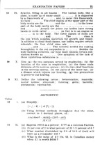 34565_OBJ-Thumbnail Image.jpg