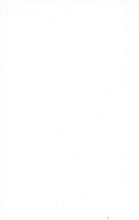 3468_OBJ-Thumbnail Image.jpg