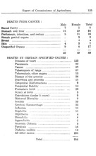 34728_OBJ-Thumbnail Image.jpg