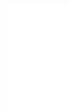 34775_OBJ-Thumbnail Image.jpg