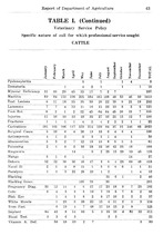 3487_OBJ-Thumbnail Image.jpg