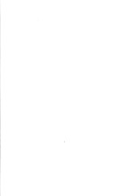 34921_OBJ-Thumbnail Image.jpg