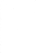 34963_OBJ-Thumbnail Image.jpg