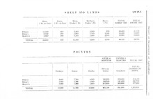 35479_OBJ-Thumbnail Image.jpg