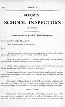 3547_OBJ-Thumbnail Image.jpg