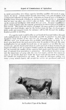 3554_OBJ-Thumbnail Image.jpg