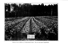 35593_OBJ-Thumbnail Image.jpg