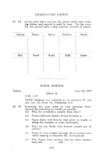 35597_OBJ-Thumbnail Image.jpg