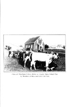 3568_OBJ-Thumbnail Image.jpg