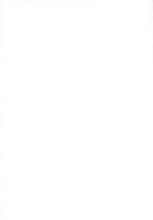 35737_OBJ-Thumbnail Image.jpg