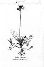 3607_OBJ-Thumbnail Image.jpg