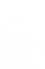 36111_OBJ-Thumbnail Image.jpg