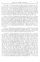 36113_OBJ-Thumbnail Image.jpg