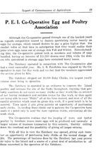 36205_OBJ-Thumbnail Image.jpg