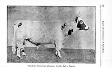 36325_OBJ-Thumbnail Image.jpg