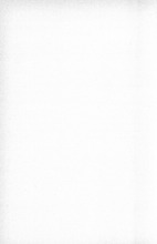 36450_OBJ-Thumbnail Image.jpg