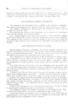 36598_OBJ-Thumbnail Image.jpg