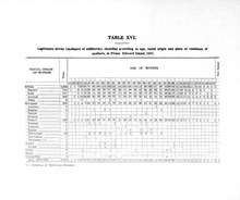 3665_OBJ-Thumbnail Image.jpg