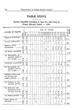 36702_OBJ-Thumbnail Image.jpg