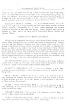 3677_OBJ-Thumbnail Image.jpg