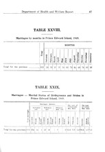 36781_OBJ-Thumbnail Image.jpg