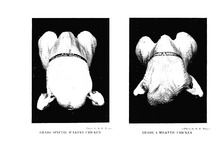 36906_OBJ-Thumbnail Image.jpg