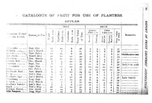 36960_OBJ-Thumbnail Image.jpg
