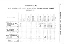 36981_OBJ-Thumbnail Image.jpg
