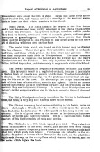 37010_OBJ-Thumbnail Image.jpg