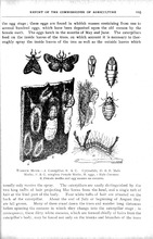 37177_OBJ-Thumbnail Image.jpg