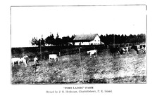 37179_OBJ-Thumbnail Image.jpg