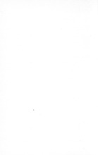 3717_OBJ-Thumbnail Image.jpg