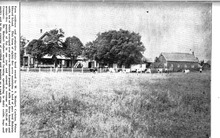 37180_OBJ-Thumbnail Image.jpg