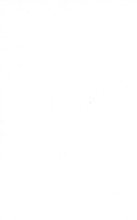 37183_OBJ-Thumbnail Image.jpg