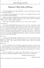 37184_OBJ-Thumbnail Image.jpg